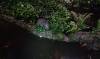 525 - 20160421 Day04 Science Museum Bird Park Night Zoo