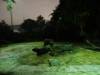 549 - 20160421 Day04 Science Museum Bird Park Night Zoo