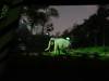 558 - 20160421 Day04 Science Museum Bird Park Night Zoo