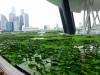 193 - 20160424 Day05 Singapore