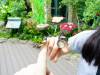 230 - 20160424 Day05 Singapore