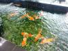 241 - 20160424 Day05 Singapore