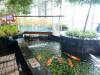 242 - 20160424 Day05 Singapore