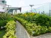 255 - 20160424 Day05 Singapore