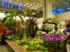 261 - 20160424 Day05 Singapore