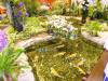 263 - 20160424 Day05 Singapore