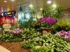 275 - 20160424 Day05 Singapore