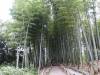 256 - 20160716 Day05 Kyoto