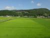 104 - 20160718 Day07 Magome-Tsumago Matsumoto Shinano-Omachi