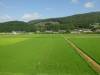 105 - 20160718 Day07 Magome-Tsumago Matsumoto Shinano-Omachi