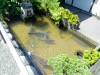 119 - 20160718 Day07 Magome-Tsumago Matsumoto Shinano-Omachi