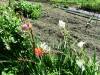 125 - 20160718 Day07 Magome-Tsumago Matsumoto Shinano-Omachi