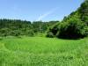127 - 20160718 Day07 Magome-Tsumago Matsumoto Shinano-Omachi