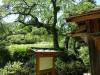 140 - 20160718 Day07 Magome-Tsumago Matsumoto Shinano-Omachi