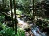 149 - 20160718 Day07 Magome-Tsumago Matsumoto Shinano-Omachi