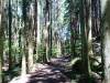 150 - 20160718 Day07 Magome-Tsumago Matsumoto Shinano-Omachi