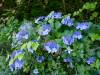 151 - 20160718 Day07 Magome-Tsumago Matsumoto Shinano-Omachi
