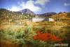 170 - 20160719 Day08 Alpen Route