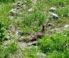 219 - 20160719 Day08 Alpen Route