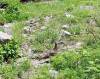 220 - 20160719 Day08 Alpen Route
