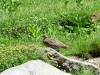224 - 20160719 Day08 Alpen Route