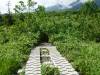 307 - 20160719 Day08 Alpen Route