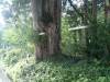 321 - 20160719 Day08 Alpen Route