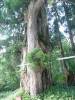 322 - 20160719 Day08 Alpen Route