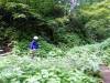 325 - 20160719 Day08 Alpen Route