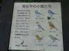 327 - 20160719 Day08 Alpen Route