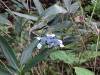 328 - 20160719 Day08 Alpen Route