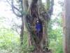 330 - 20160719 Day08 Alpen Route