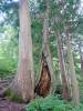331 - 20160719 Day08 Alpen Route