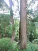 332 - 20160719 Day08 Alpen Route