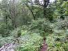335 - 20160719 Day08 Alpen Route