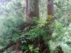 336 - 20160719 Day08 Alpen Route