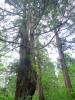 337 - 20160719 Day08 Alpen Route