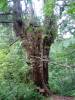 338 - 20160719 Day08 Alpen Route
