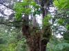 339 - 20160719 Day08 Alpen Route
