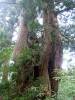 342 - 20160719 Day08 Alpen Route