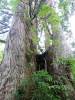 343 - 20160719 Day08 Alpen Route