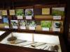 209 - 20160720 Day09 Tateyama Takayama