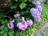 340 - 20160720 Day09 Tateyama Takayama