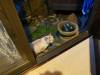 425 - 20160720 Day09 Tateyama Takayama