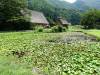 209 - 20160721 Day10 Takayama Shirakawago Kanazawa