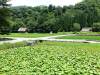 210 - 20160721 Day10 Takayama Shirakawago Kanazawa