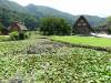 211 - 20160721 Day10 Takayama Shirakawago Kanazawa