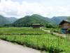 217 - 20160721 Day10 Takayama Shirakawago Kanazawa