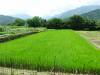 218 - 20160721 Day10 Takayama Shirakawago Kanazawa