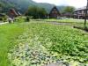 219 - 20160721 Day10 Takayama Shirakawago Kanazawa